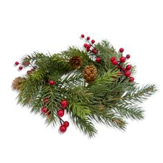 pine and red berries are arranged on the branch