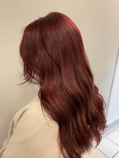 Medium Brown With Red Tones, Light Brown Hair Dyed Red, Candlelit Hair Color, Mohagany Red Brown Hair Color, Sangria Red Hair, Brown Red Hair Aesthetic, Asian Reddish Brown Hair, Strawberry Burnett Hair, Soft Cinnamon Hair Color