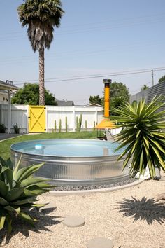 an empty swimming pool surrounded by palm trees and graveled area with potted plants