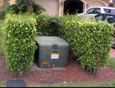 there is a mailbox in the middle of some shrubbery and cars are parked behind it