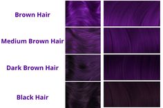 Colors To Dye Dark Brown Hair Without Bleach, Purple Dye On Dark Hair, Hair Color Ideas For Dark Hair Ombre, Hair Colours Without Bleaching, Colors To Dye Brown Hair Without Bleach, Black Violet Hair Color, Purple Hair Dye For Dark Hair, Purple On Dark Hair, Dark Purple Underneath Hair