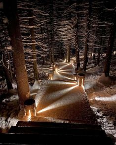 a path in the middle of a snowy forest at night with lights shining on it