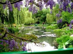 a green park bench sitting next to a pond filled with water lilies and wister trees