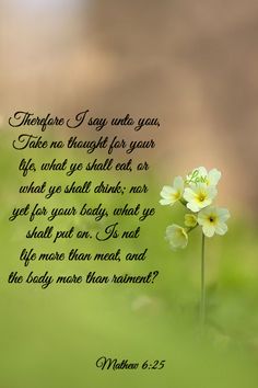 a small yellow flower sitting on top of a green grass covered field with the words, there is say unto you take no thought for your life