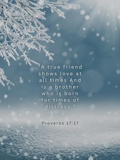 a tree branch with snow falling on it and a quote from proverbs 17 17