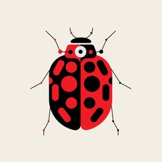 a red and black lady bug with dots on it