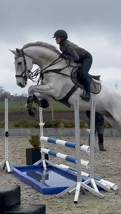 a person jumping a horse over an obstacle