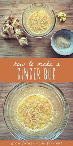 how to make a ginger bug in a glass bowl on top of a wooden table