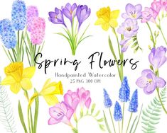 watercolor spring flowers clipart, hand painted florals example image for commercial use