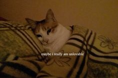 a cat laying on top of a bed under a blanket with the caption maybe i really am unmovable