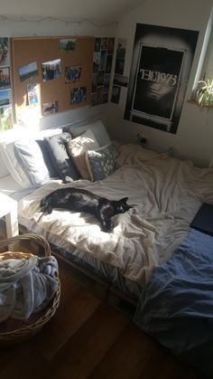 a dog laying on top of a bed in a bedroom next to a basket filled with clothes