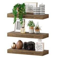 three wooden shelves with plants and pictures on them