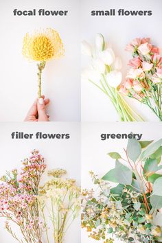 four different types of flowers are shown