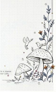 an ink drawing of mushrooms and birds on a white background with the words, it's a chance out there