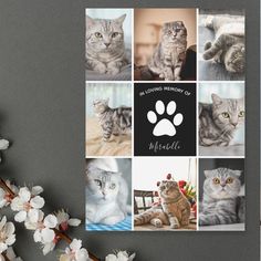 there are many pictures of cats on this card