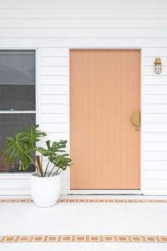 a potted plant sitting in front of a door on the side of a house