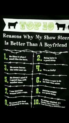 a t - shirt with the words top ten reason why my show steer is better than a boyfriend