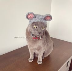 a gray cat wearing a mouse hat on top of a wooden table next to a white wall