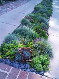 a garden filled with lots of plants next to a brick walkway on top of a sidewalk