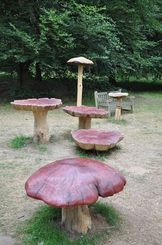 several wooden benches and tables in the middle of a field with mushrooms growing on them