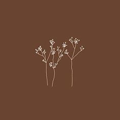 three small white flowers on a brown background with the words,'i love you more than