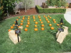 pumpkins are arranged in the shape of witches for halloween decorations on fake grass with chalkboard signs