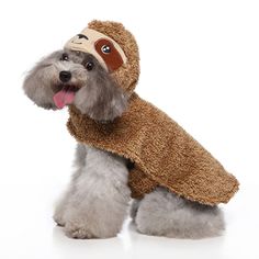 a small dog wearing a brown coat and hat