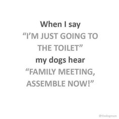 a quote that says when i say i'm just going to the toilet my dogs hear family meeting, assemble now