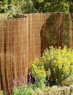 the fence is made out of bamboo and has many plants growing in front of it