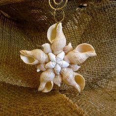 an ornament made out of seashells hanging on burlock fabric