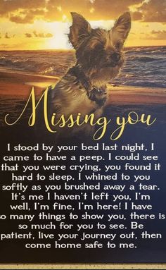 a card with a dog on it that says missing you in gold lettering and an image of a dog at the beach