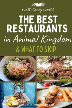 the best restaurants in animal kingdom and what to skip