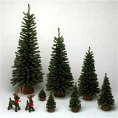 small christmas trees are lined up in front of each other