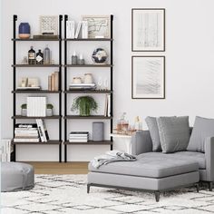 a living room scene with focus on the sofa and chair, bookshelf in the background