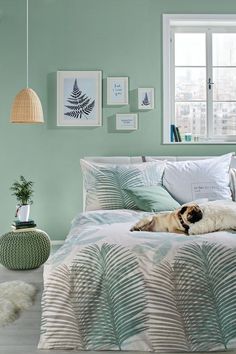 a dog laying on top of a bed in a room with green walls and palm leaves