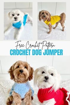 three pictures of dogs wearing sweaters and sitting on a bed with the words, free crochet dog jumper