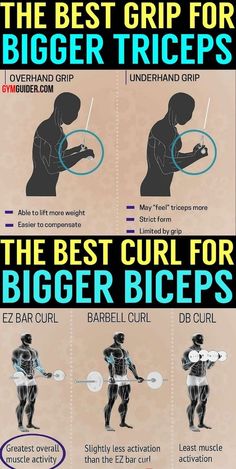 Biceps And Triceps Workout, Hanging Belly, Big Arms, Pump Action, Bodybuilding Workout Plan