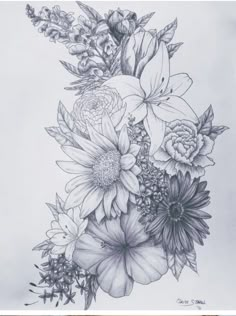 a pencil drawing of flowers and leaves