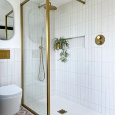 a bathroom with a shower, toilet and plant on the wall in front of it