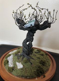 a bonsai tree in a pot with moss growing on it's base and branches