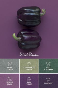 an eggplant is shown with different colors in the same color scheme, including purple and green