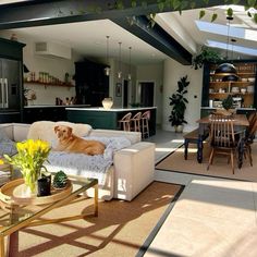 a dog laying on a couch in the middle of a living room with an open floor plan