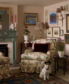 a dog sitting in the middle of a living room next to a chair and table