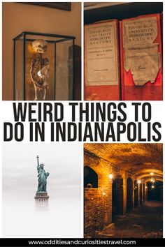 the cover of weird things to do in indianapolis, including statue of liberty and books