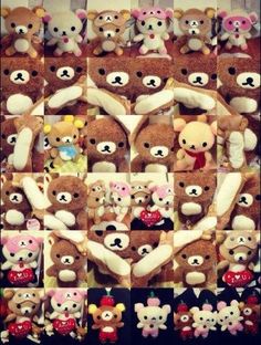 a collage of teddy bears in various poses