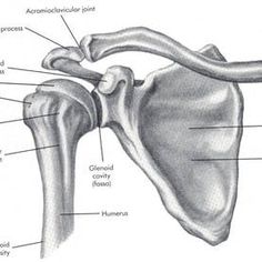 Ten Unit, Mobility Exercises