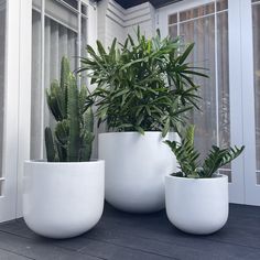 three large white planters sitting next to each other on a wooden floor in front of a window