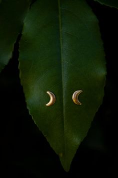 The essential moon stud! These little 3D puffed Crescent Moon studs are super lightweight and easy to wear. Hand crafted from raw brass (not plated) with solid sterling silver posts and backs. A must for moon lovers. A patina has been added for an antique look. Great for everyday wear, and a fun way to honor the moon all day. Be sure to check out my other studs and my other moon jewelry to match! ✦ C A R E - I N S T R U C T I O N S ✦ Each creation is lovingly hand crafted with meticulous attenti Ladybug Jewelry, Crescent Moon Jewelry, Crescent Moon Earrings, Moon Studs, Protection Necklace, Moon Lovers, Crescent Moon Necklace, Moon Jewelry, Moon Earrings