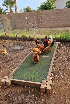 several chickens in a fenced off area with grass and dirt on the ground next to a brick wall