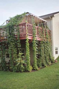 the house is covered with vines and has a wooden deck on one side, and a balcony on the other